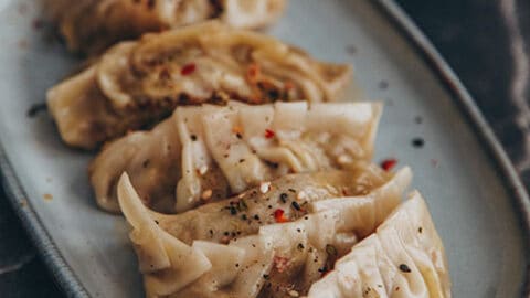 vegane Dumplings Gyoza Jiaozi Mandu