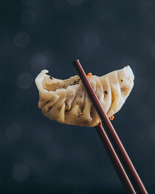 vegane Dumplings Gyoza Jiaozi Mandu