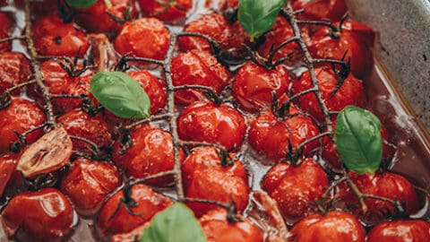 Tomaten, die in Olivenöl und Balsamico Essig gemeinsam mit Knoblauch und Gewürzen im Ofen geschmort wurden